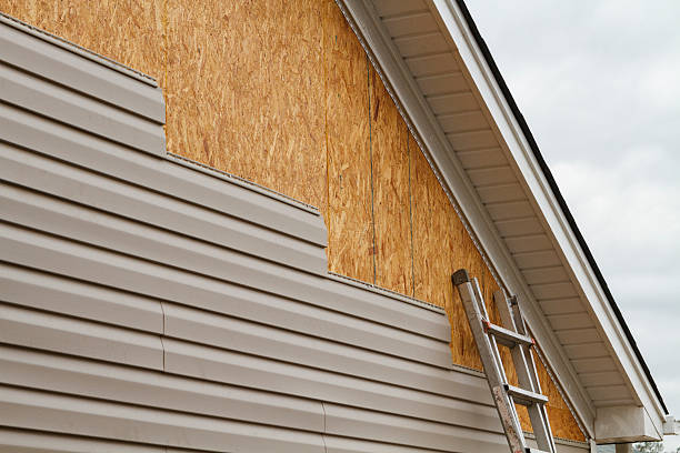 Professional Siding Repair technician working in Dayton, TX